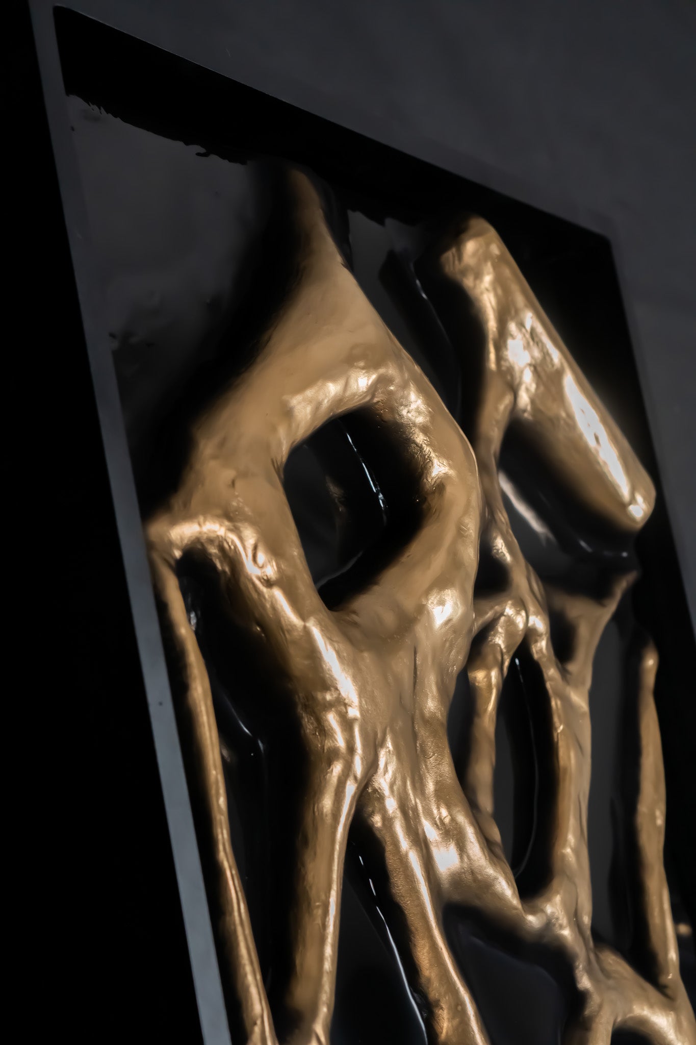 BIORA 1: Roots of Knowledge